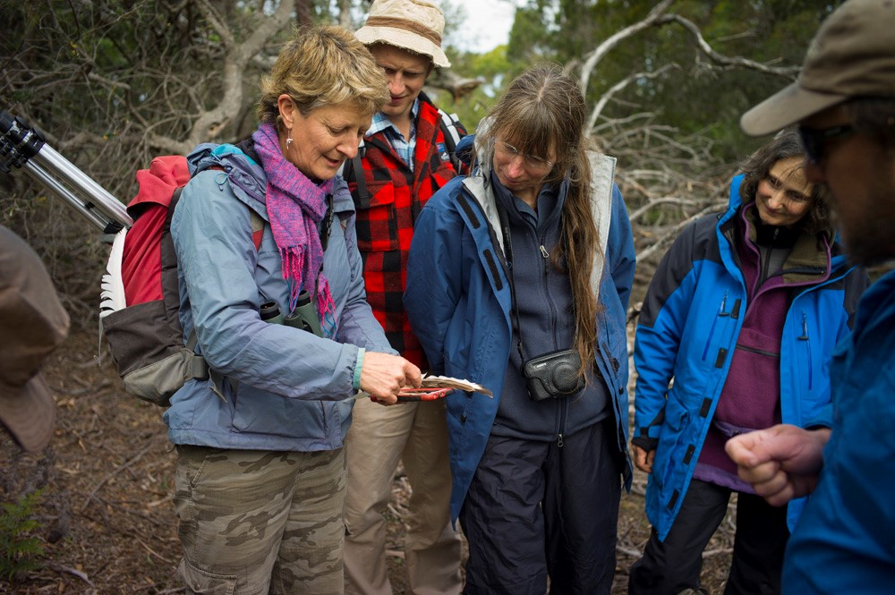 People collaborating on island conservation